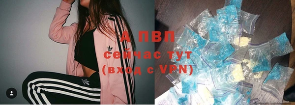 мдпв Верея
