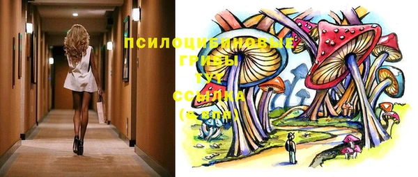 мдпв Верея
